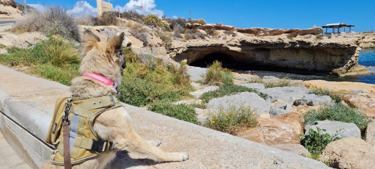 Appartamento La Guarida Rustica Del Zorro Jijona Esterno foto